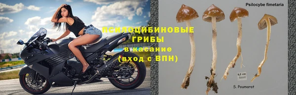 дистиллят марихуана Богданович