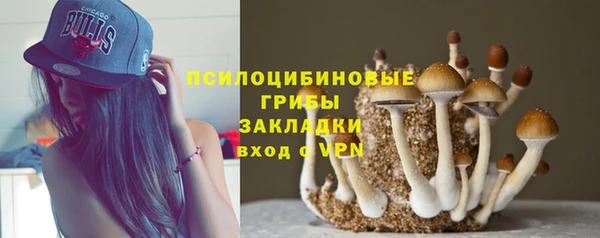 метадон Богородицк