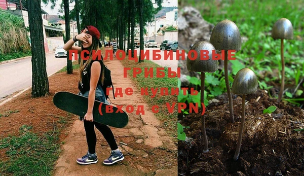 дурь Богородск