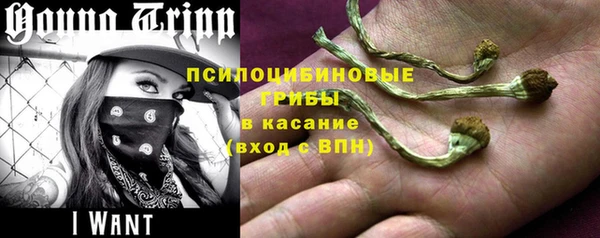 дурь Богородск